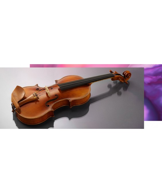 4/4 érable violon acoustique Set avec étui archet cordes colophane
